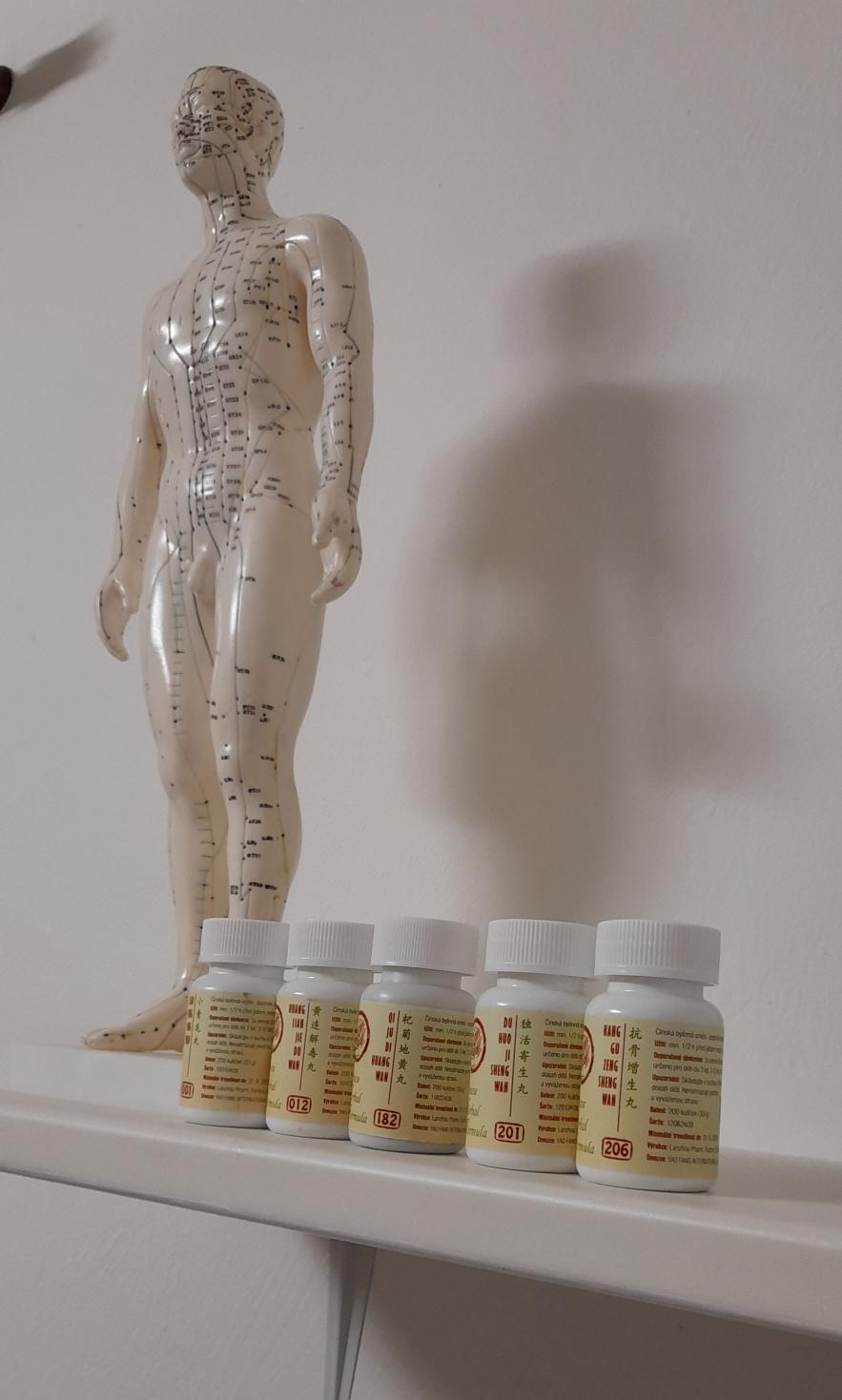 Akupunkturní model a bylinné přípravky